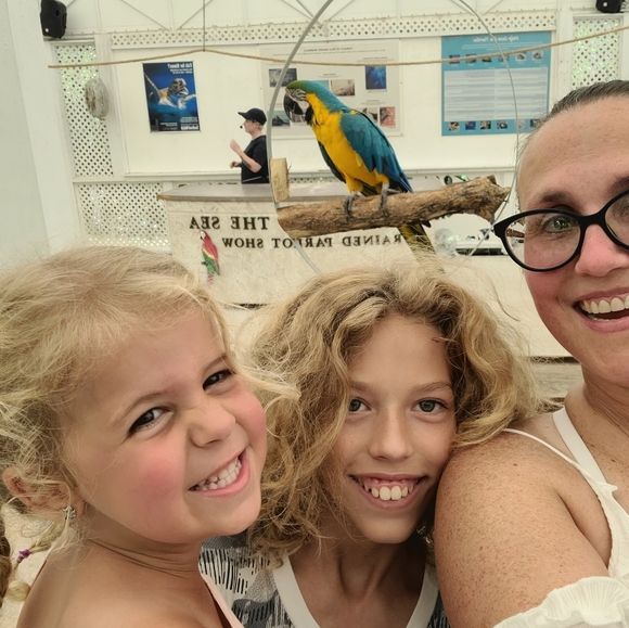 Meet your Posher, Dina Jo - Picture 3 of 4